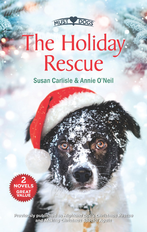 Cover image for book The Holiday Rescue