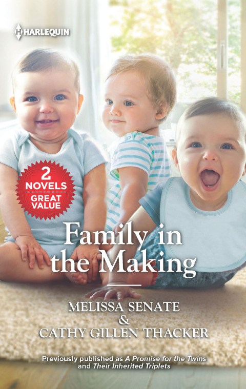 Cover image for book Family in the Making
