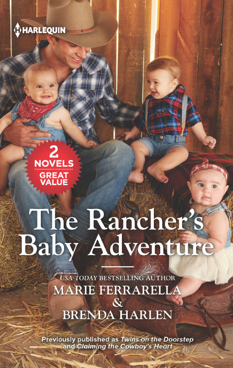 Cover image for book The Rancher's Baby Adventure