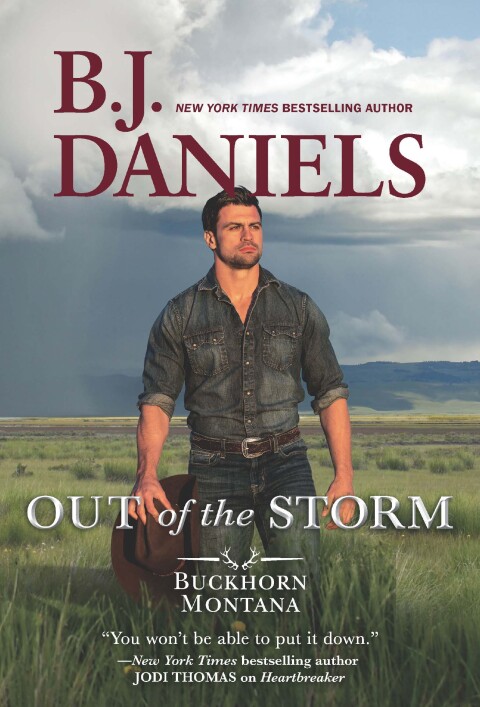 Cover image for book Out of the Storm