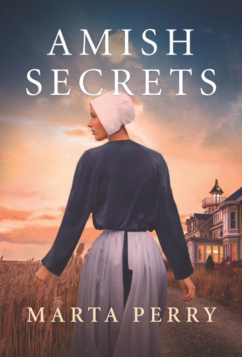Cover image for book Amish Secrets
