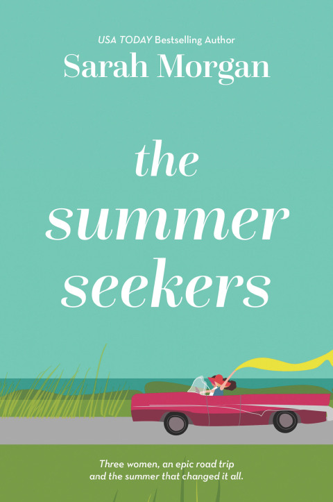 Cover image for book The Summer Seekers