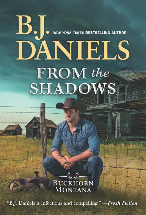 Cover image for book From the Shadows