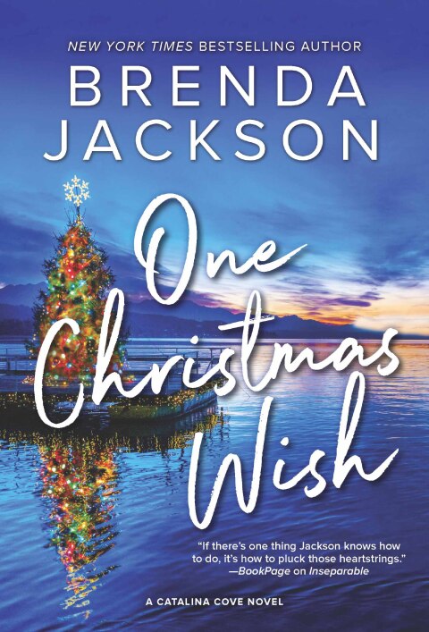 Cover image for book One Christmas Wish