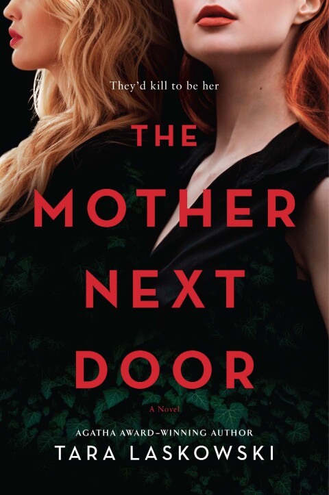 Cover image for book The Mother Next Door