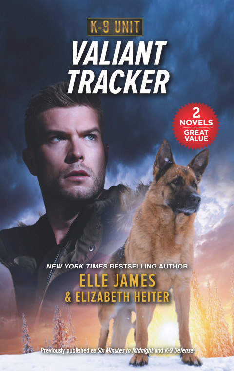 Cover image for book Valiant Tracker