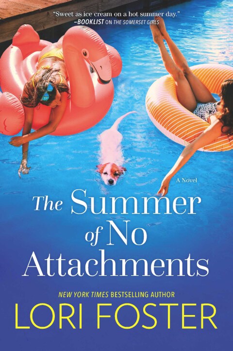 Cover image for book The Summer of No Attachments
