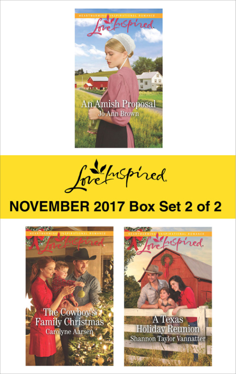 Cover image for book Harlequin Love Inspired November 2017 - Box Set 2 of 2