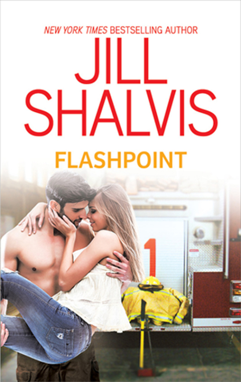 Cover image for book Flashpoint