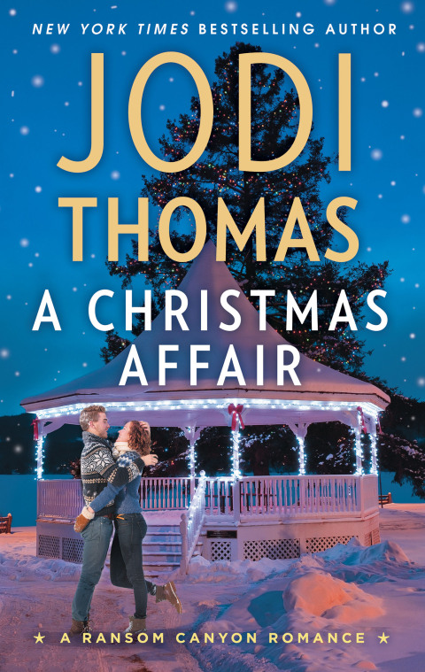 Cover image for book A Christmas Affair