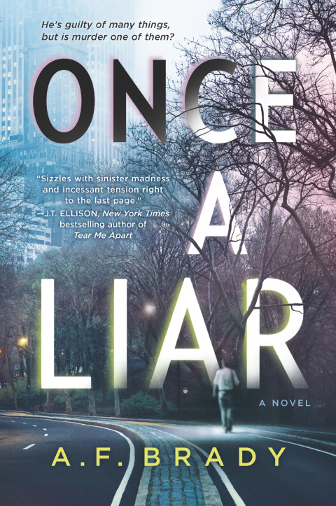 Cover image for book Once a Liar
