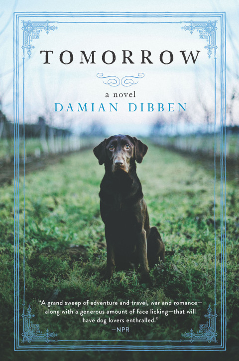 Cover image for book Tomorrow