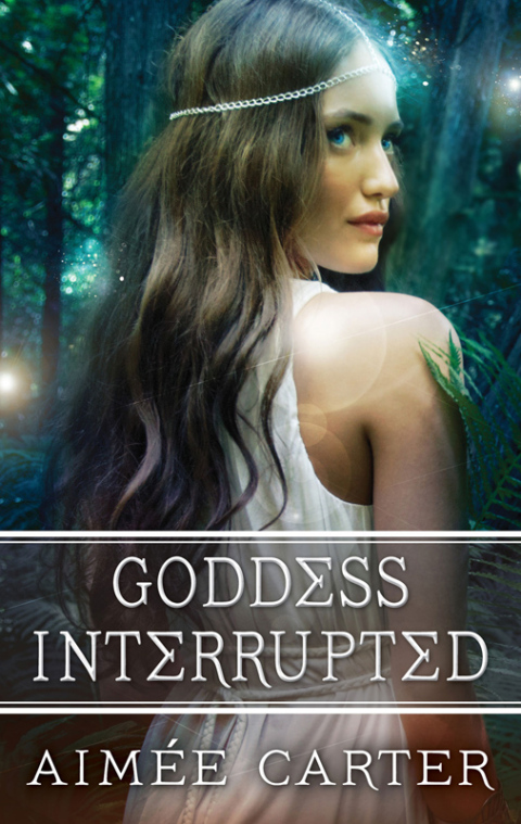 Cover image for book Goddess Interrupted