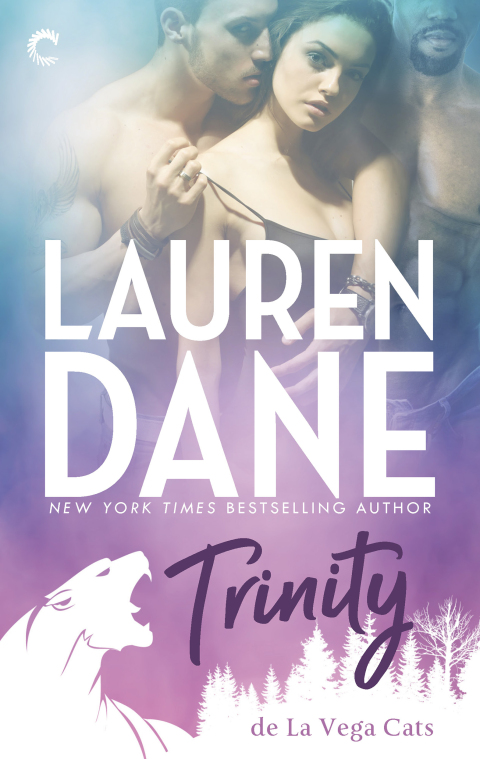 Cover image for book Trinity