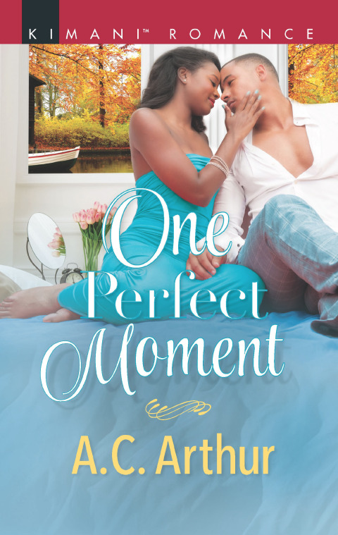 Cover image for book One Perfect Moment