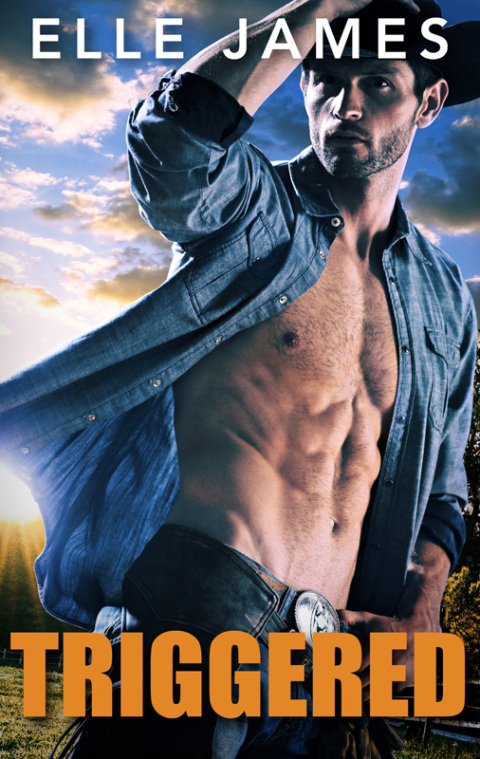 Cover image for book Triggered