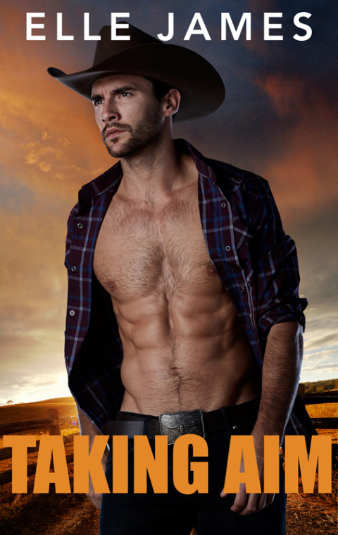 Cover image for book Taking Aim