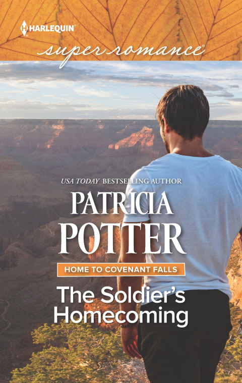 Cover image for book The Soldier's Homecoming