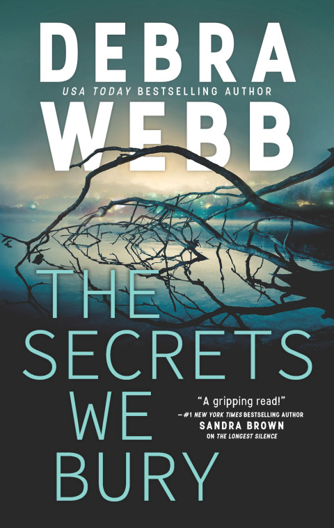 Cover image for book The Secrets We Bury