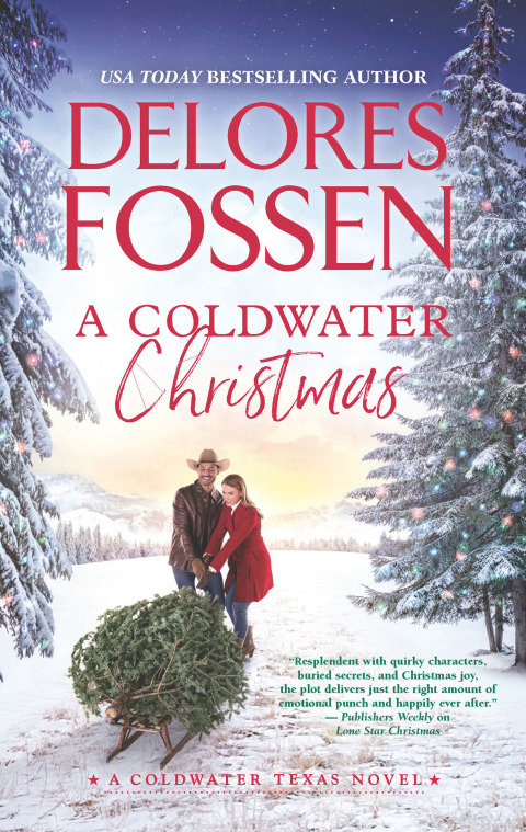 Cover image for book A Coldwater Christmas