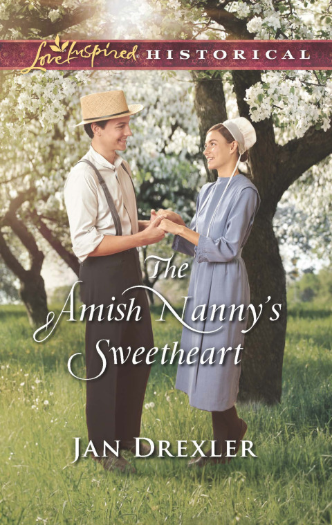 Cover image for book The Amish Nanny's Sweetheart