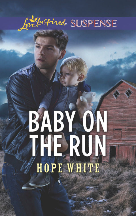 Cover image for book Baby on the Run
