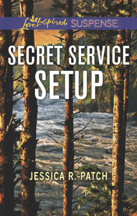 Cover image for book Secret Service Setup