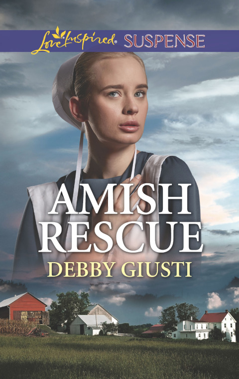 Cover image for book Amish Rescue
