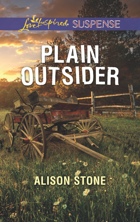 Cover image for book Plain Outsider