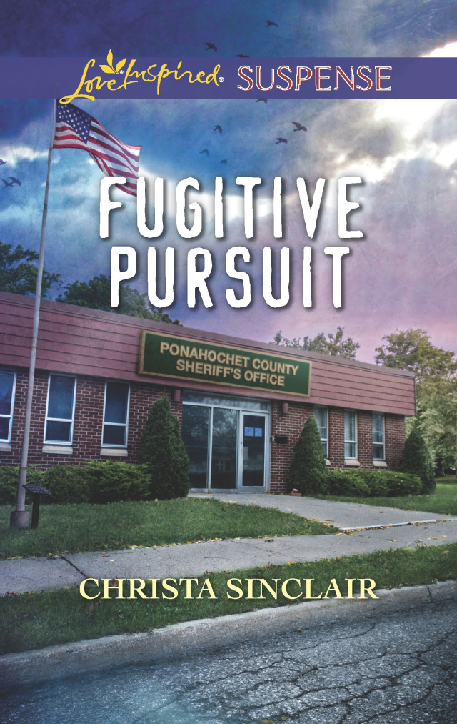 Fugitive Pursuit