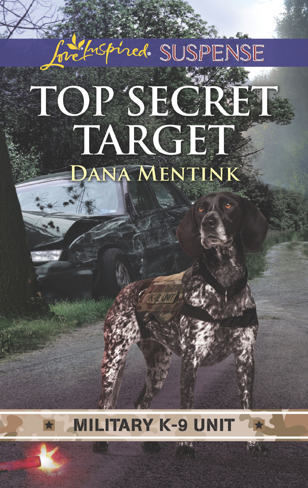 Reflowable Top Secret Target; $4.43