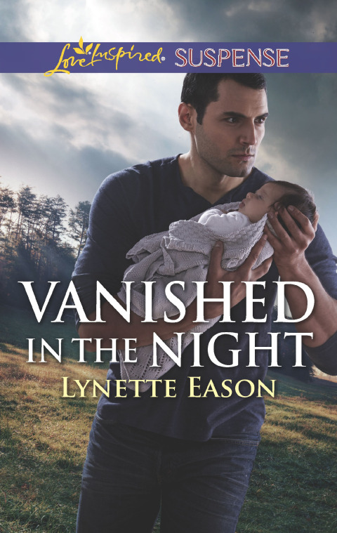 Cover image for book Vanished in the Night