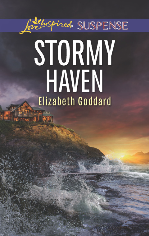Cover image for book Stormy Haven