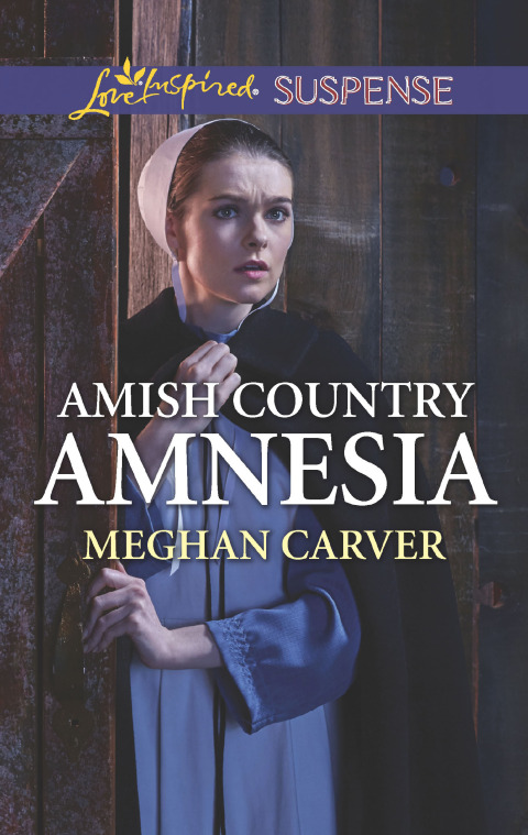 Cover image for book Amish Country Amnesia