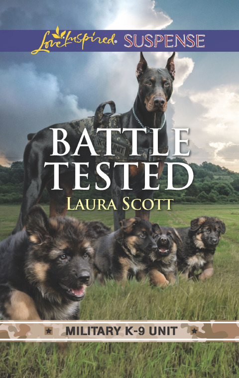 Cover image for book Battle Tested