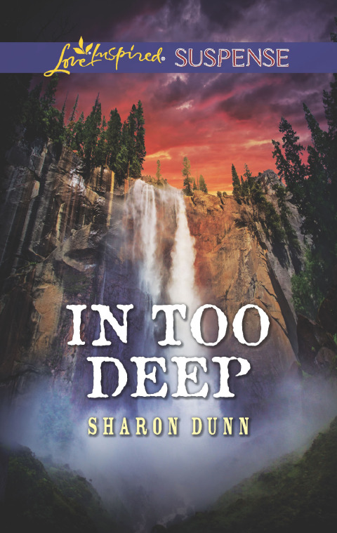 Cover image for book In Too Deep