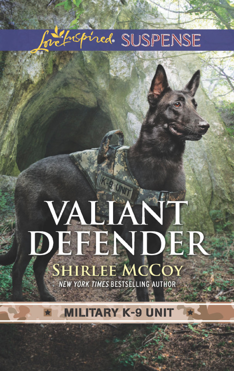 Cover image for book Valiant Defender