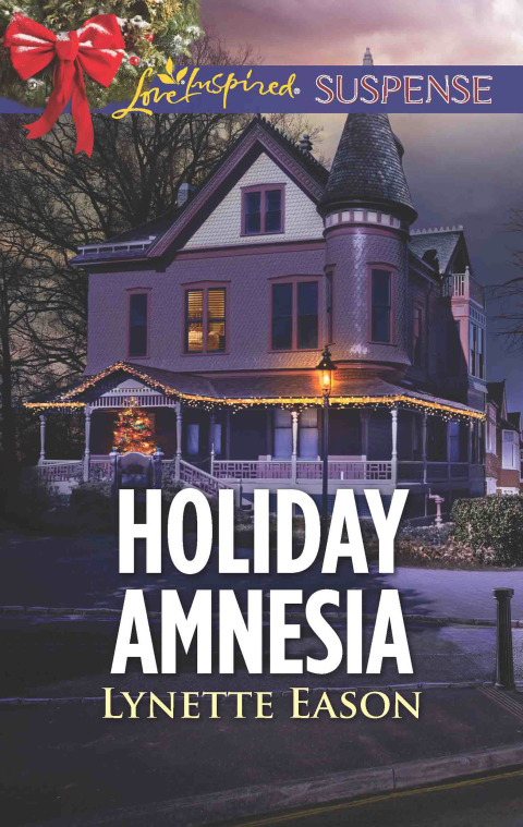 Cover image for book Holiday Amnesia