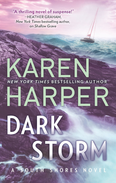 Cover image for book Dark Storm