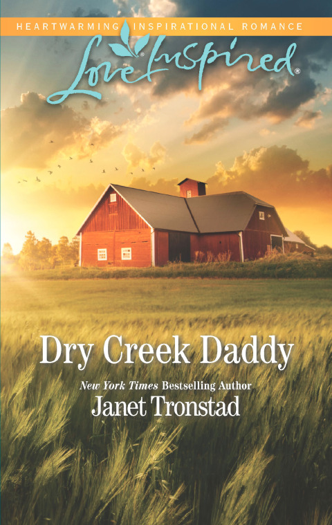 Cover image for book Dry Creek Daddy