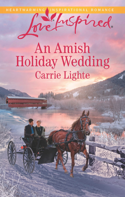Cover image for book An Amish Holiday Wedding