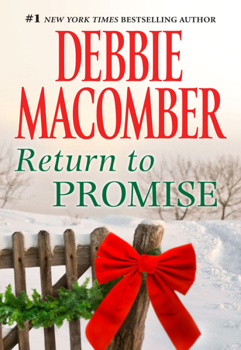 Cover image for book Return to Promise