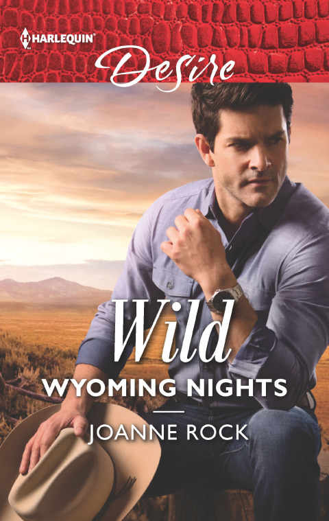 Cover image for book Wild Wyoming Nights