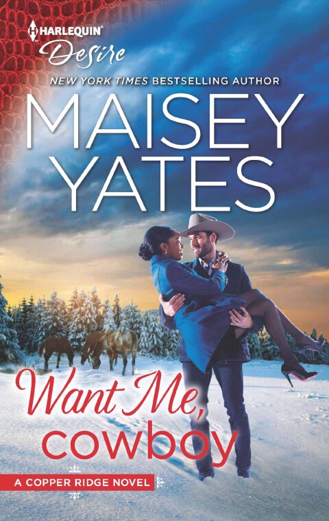 Cover image for book Want Me, Cowboy