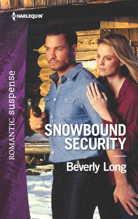 Cover image for book Snowbound Security