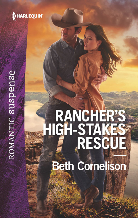 Cover image for book Rancher's High-Stakes Rescue