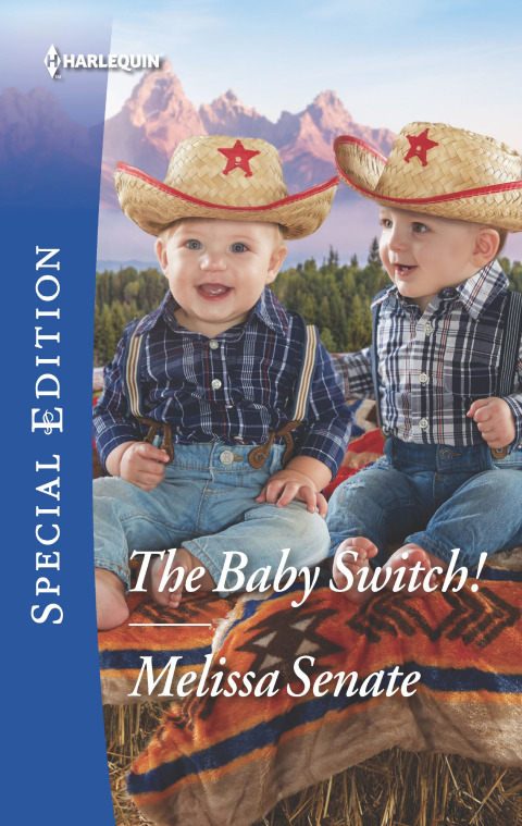 Cover image for book The Baby Switch!