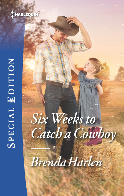 Cover image for book Six Weeks to Catch a Cowboy