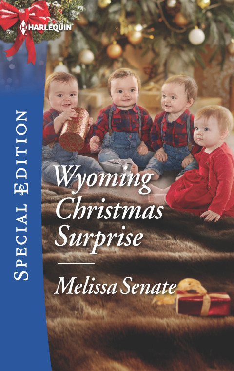 Cover image for book Wyoming Christmas Surprise