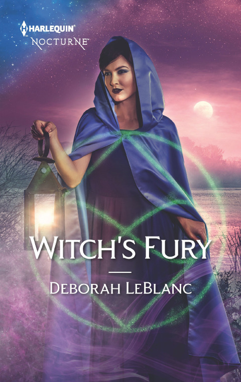 Cover image for book Witch's Fury